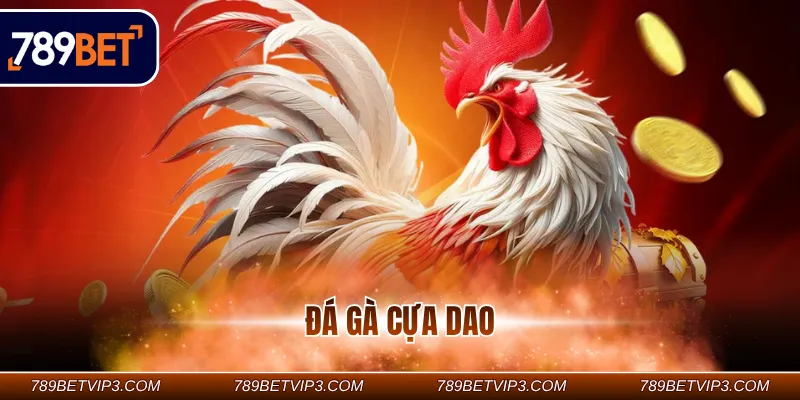 Đá gà cựa dao