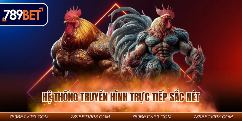 Hệ thống truyền hình trực tiếp sắc nét