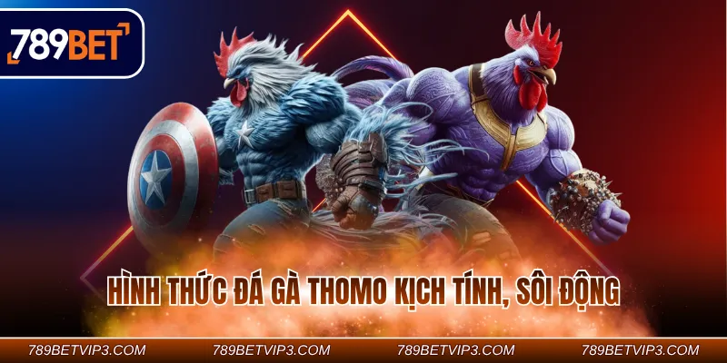 Hình thức đá gà Thomo kịch tính, sôi động