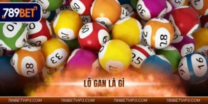 Lô gan là gì