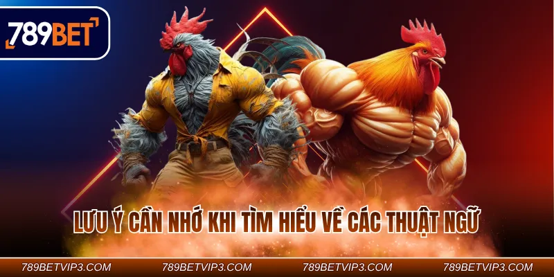 Lưu ý cần nhớ khi tìm hiểu về các thuật ngữ 