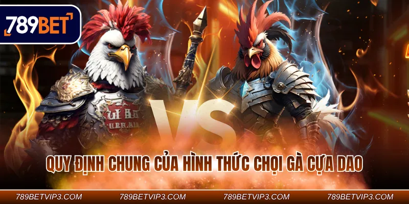 Quy định chung của hình thức chọi gà cựa dao