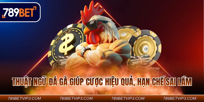 Thuật ngữ đá gà giúp cược hiệu quả, hạn chế sai lầm